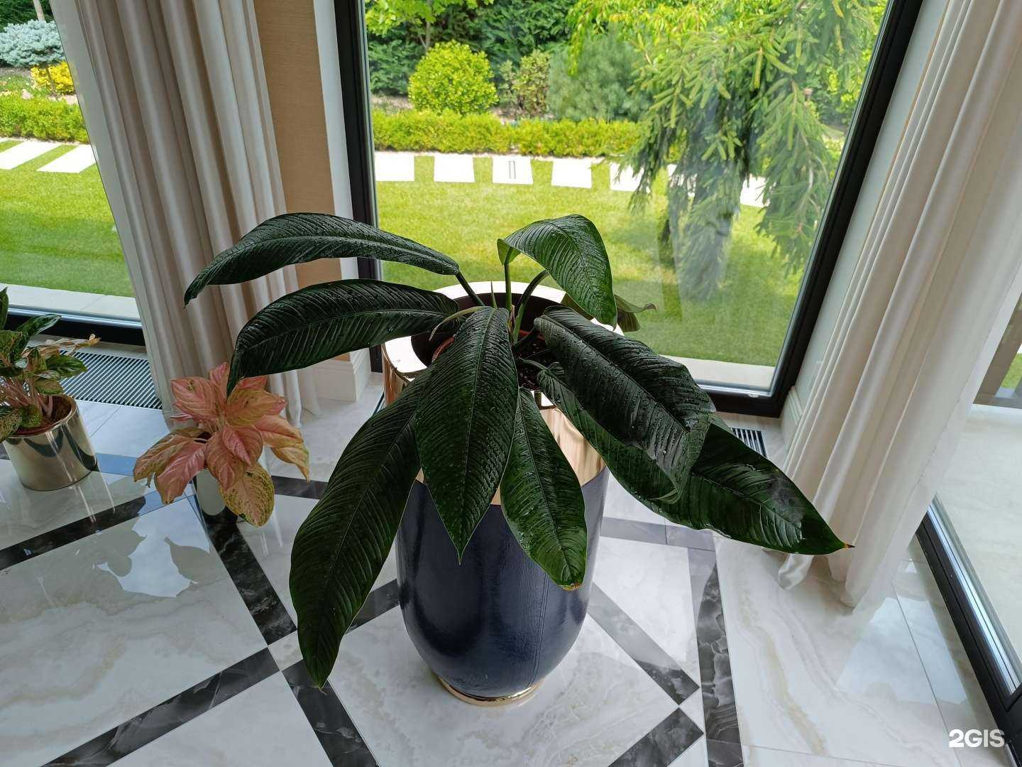 Отзывы на компанию Цветочные истории Krd в г. Краснодар c фото