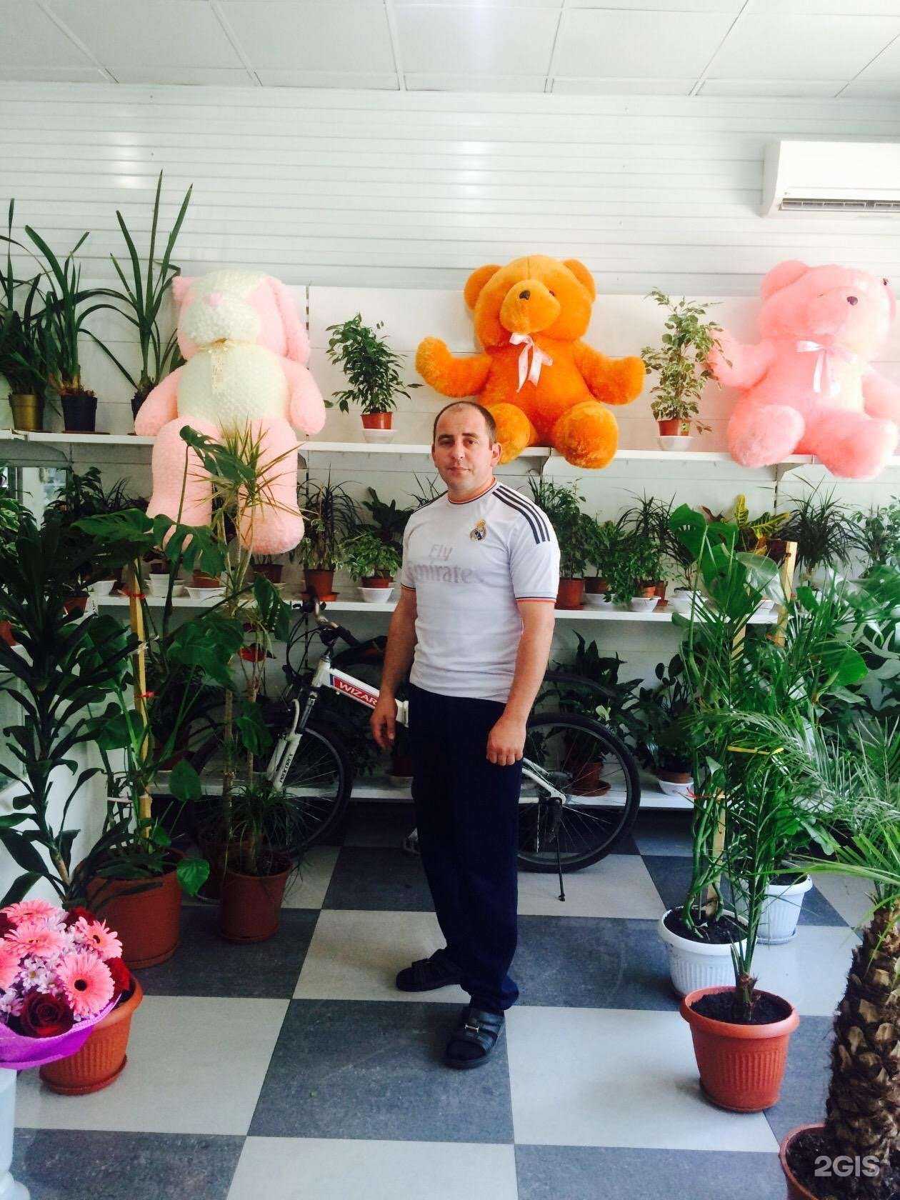 Отзывы на компанию Универсад в Хабаровске c фото - фотография 2 из 2