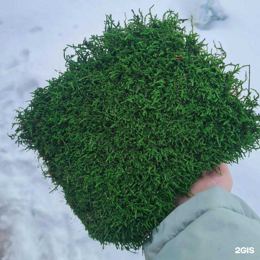 Отзывы на компанию FlowersKazan в Казани c фото