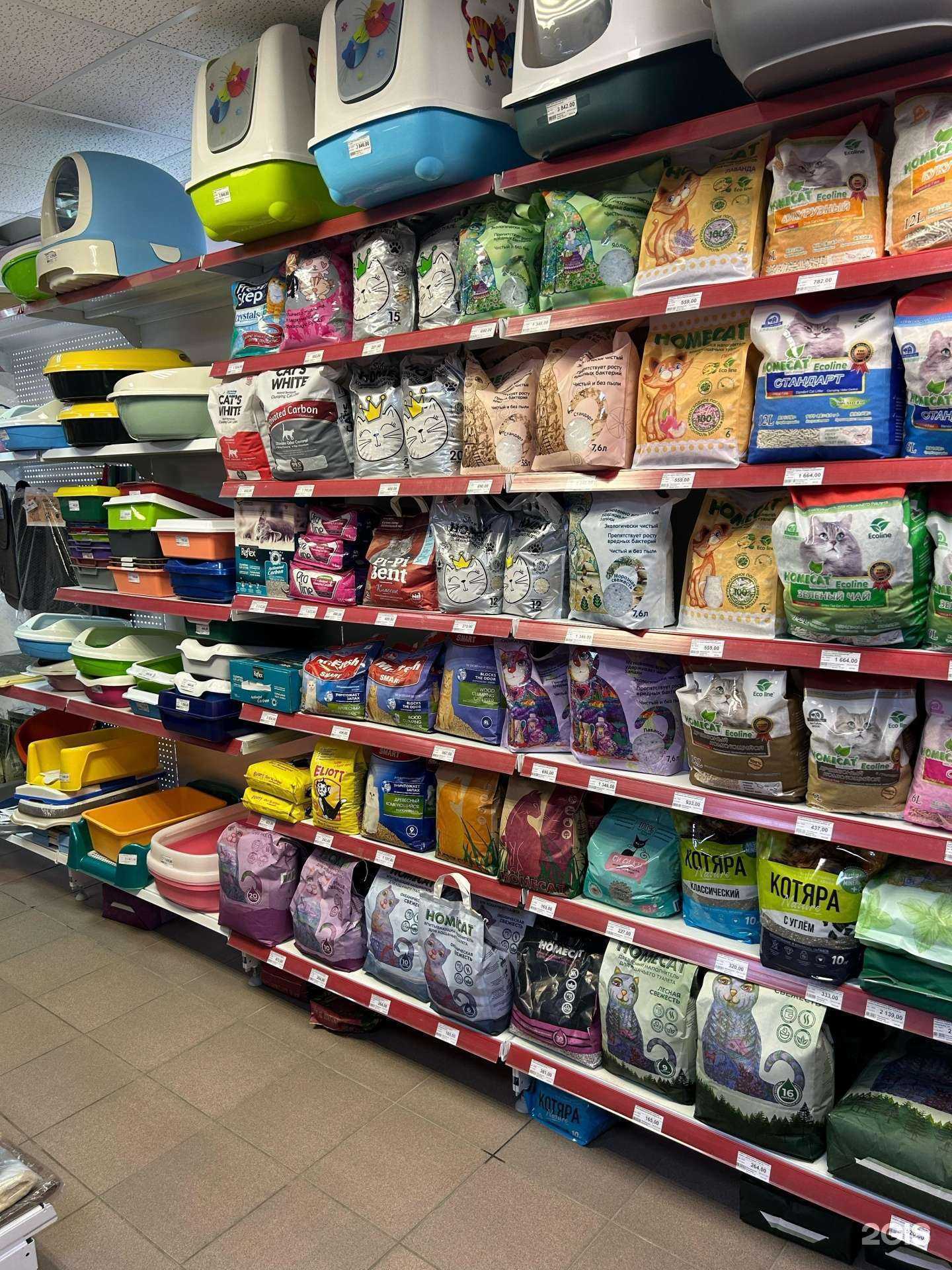 Отзывы на компанию Зоогалерея в Белгороде c фото