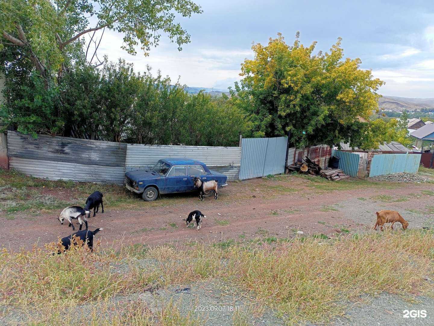 Отзывы на компанию Мелекесов в г. Медногорск c фото