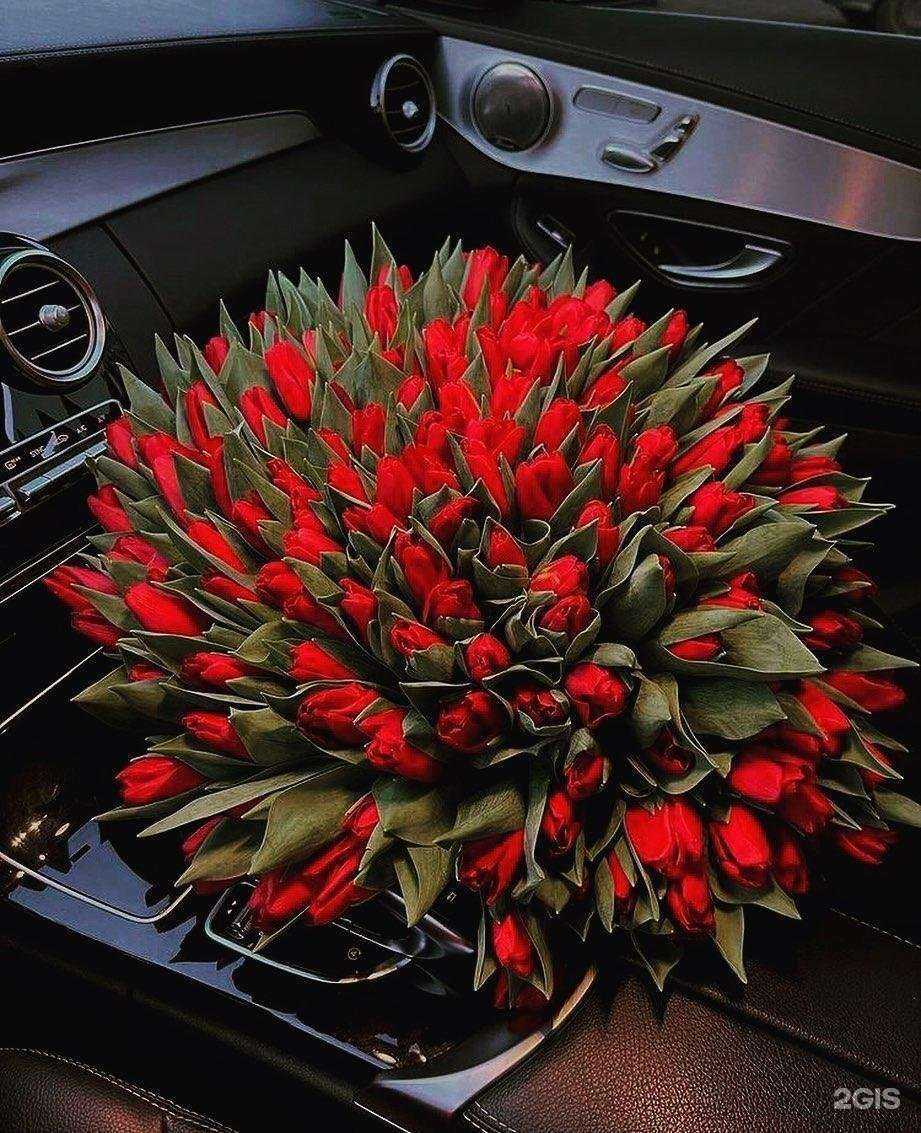 Отзывы на компанию Магнолия в Черкесске c фото