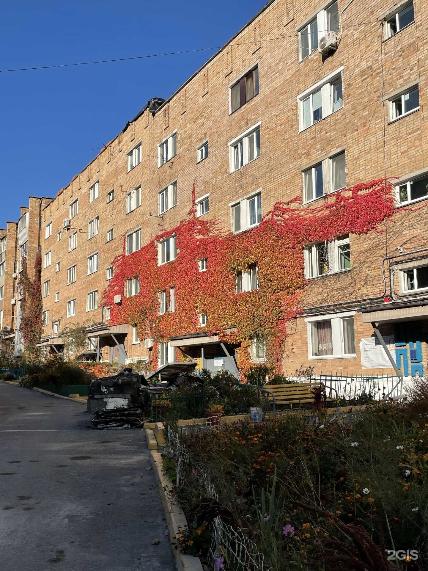 Отзывы на компанию SGV Auto в Владивостоке c фото - фотография 2 из 2