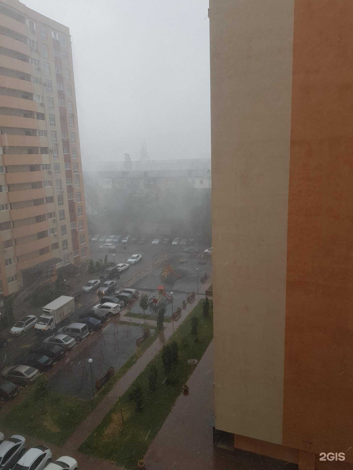 Отзывы на компанию Лес рук в Новороссийске c фото - фотография 2 из 2