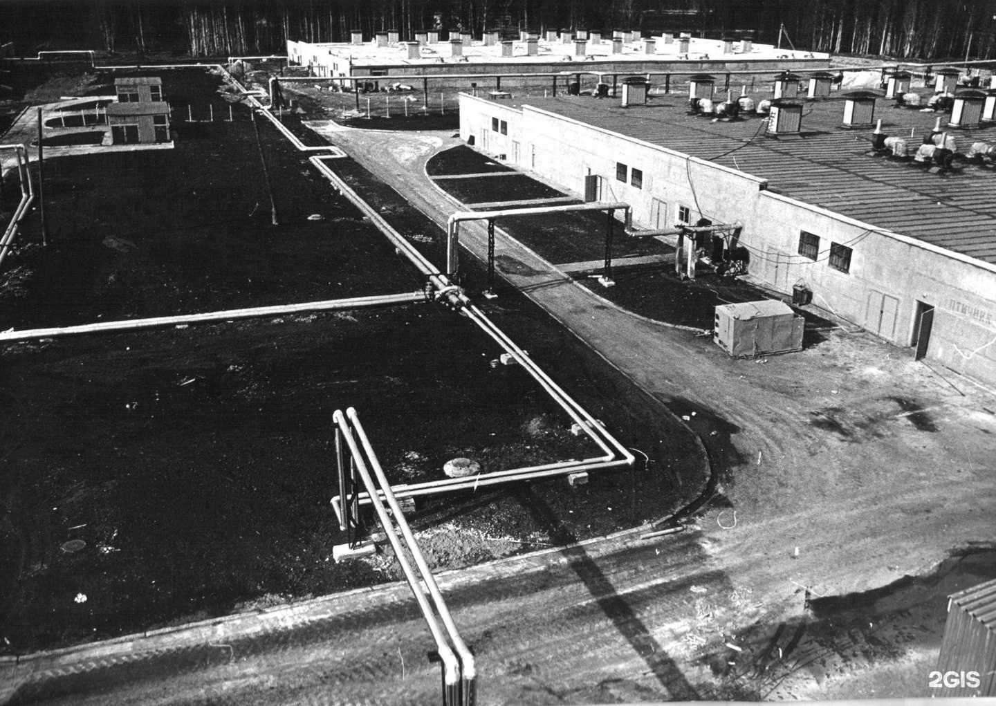 Отзывы на компанию Равис в Кировграде c фото