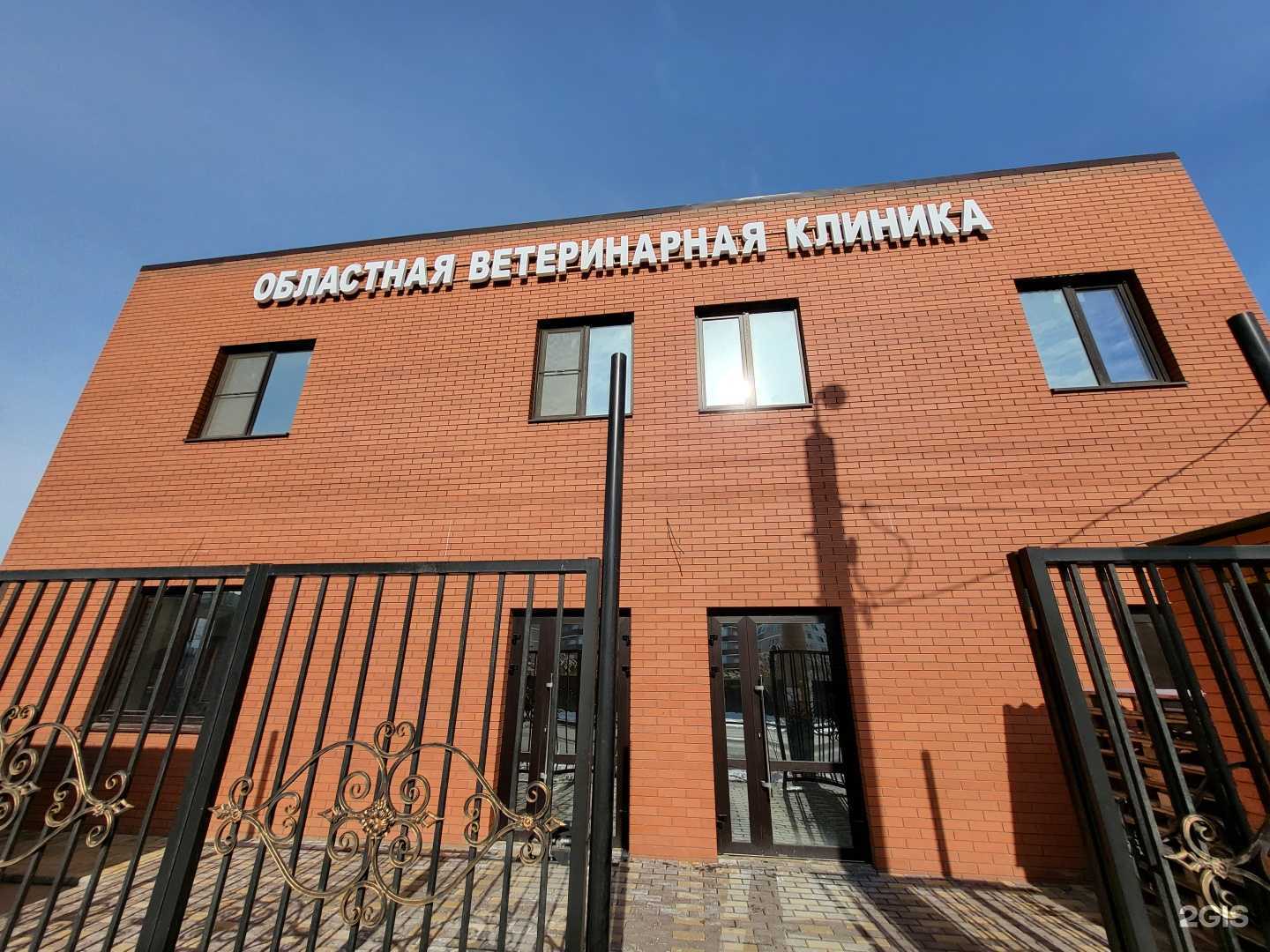 Отзывы на компанию Областная ветеринарная клиника в г. Астрахань c фото