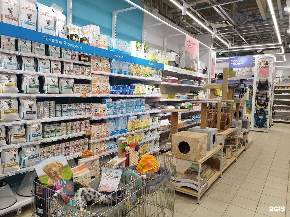 Отзывы на компанию Четыре лапы в Воронеже c фото