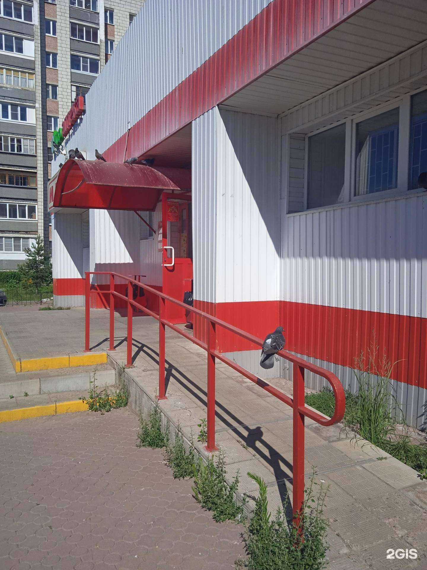 Отзывы на компанию Алоэ в г. Кострома c фото