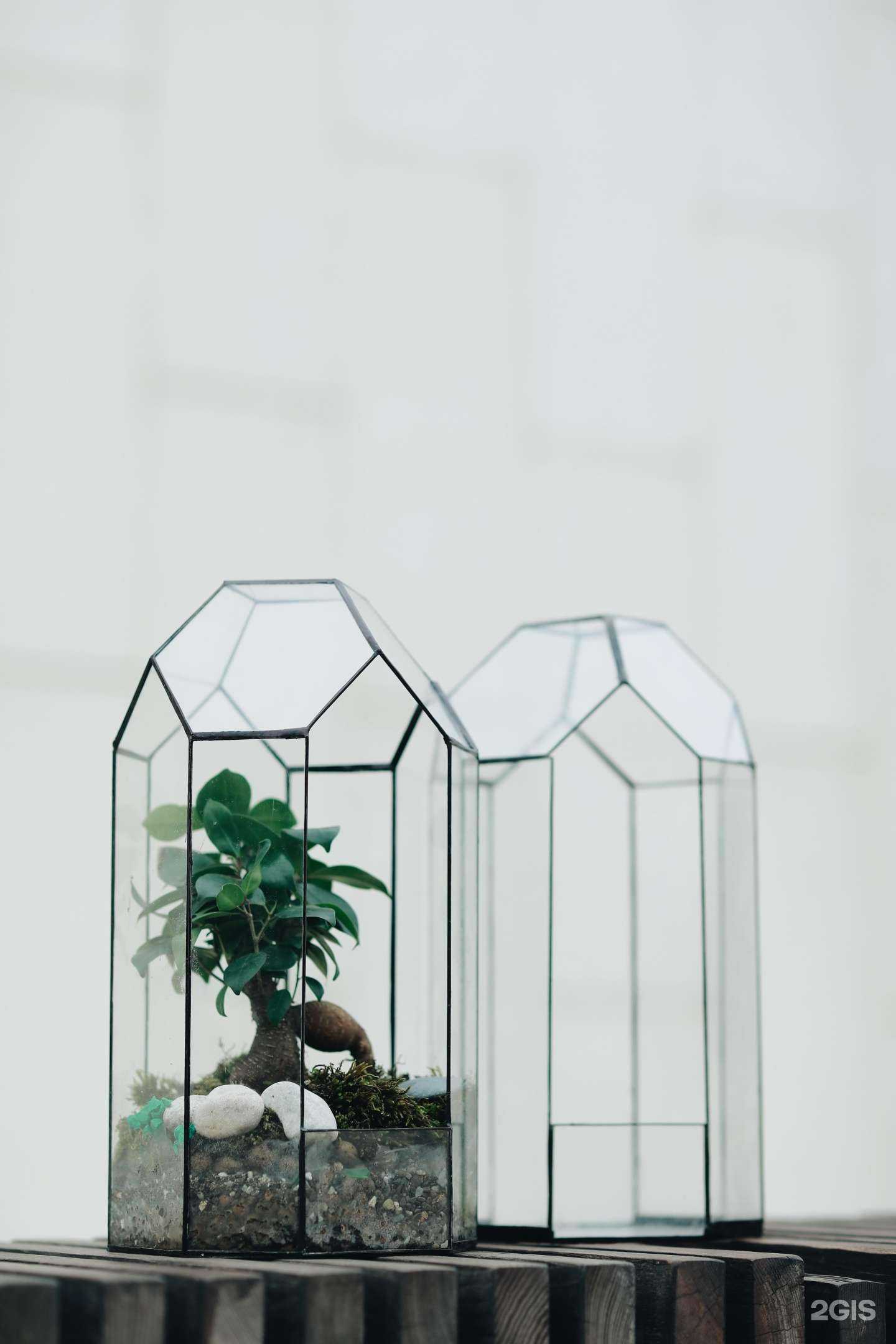 Отзывы на компанию Crystal Pots в Краснодаре c фото