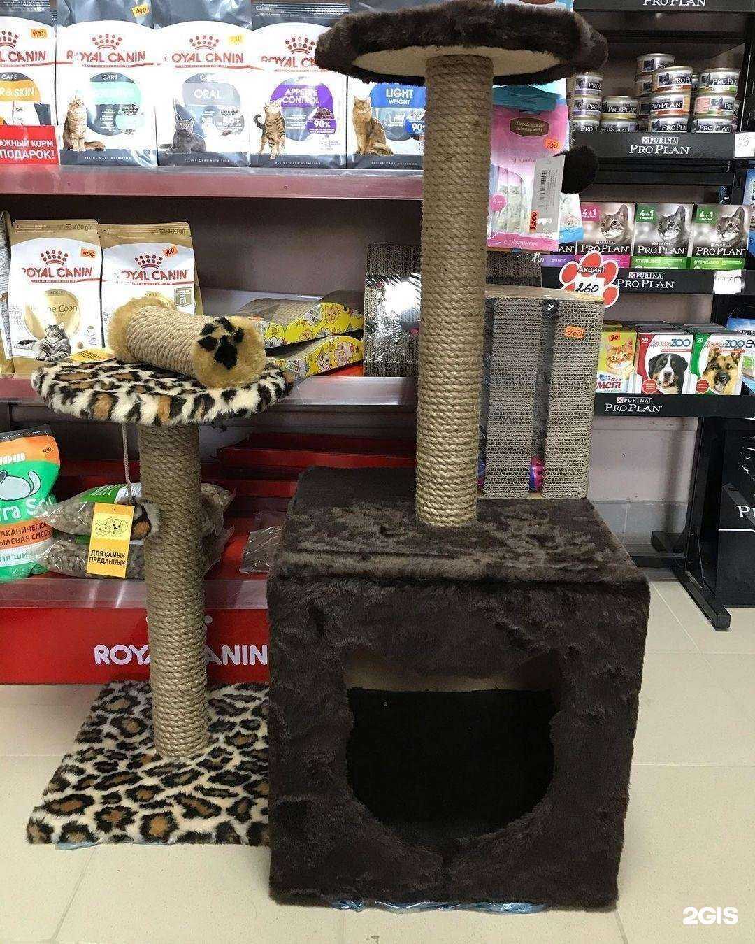 Отзывы на компанию Магазин зоотоваров в г. Новороссийск c фото