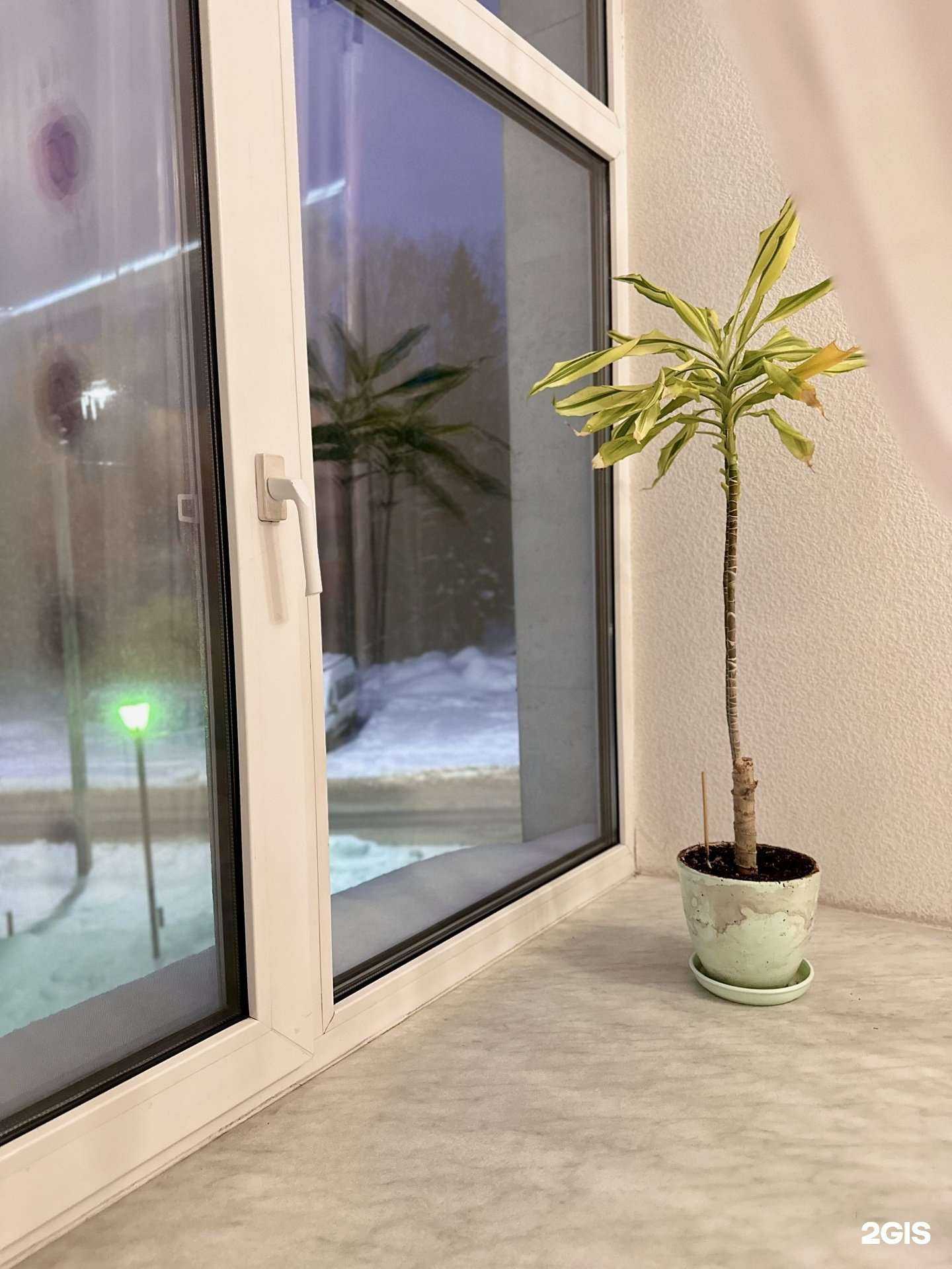 Отзывы на компанию Ирбис в Перми c фото