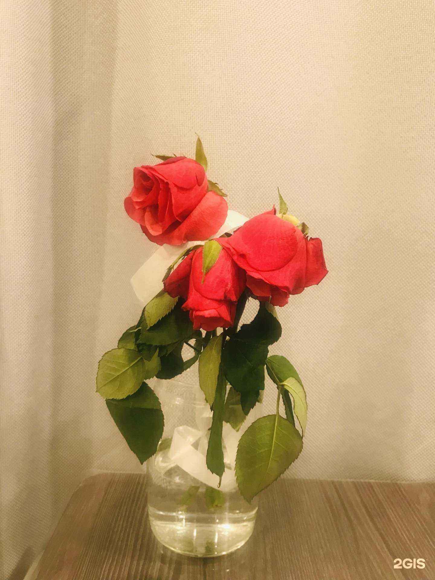 Отзывы на компанию Аленький Цветочек в г. Брянск c фото