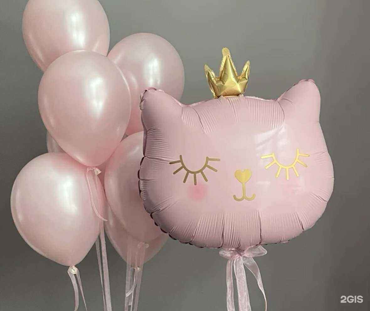 Отзывы на компанию ДоброШар в Туле c фото