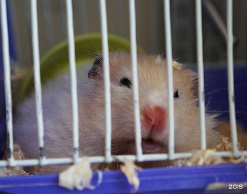 Отзывы на компанию Альгена в г. Брянск c фото