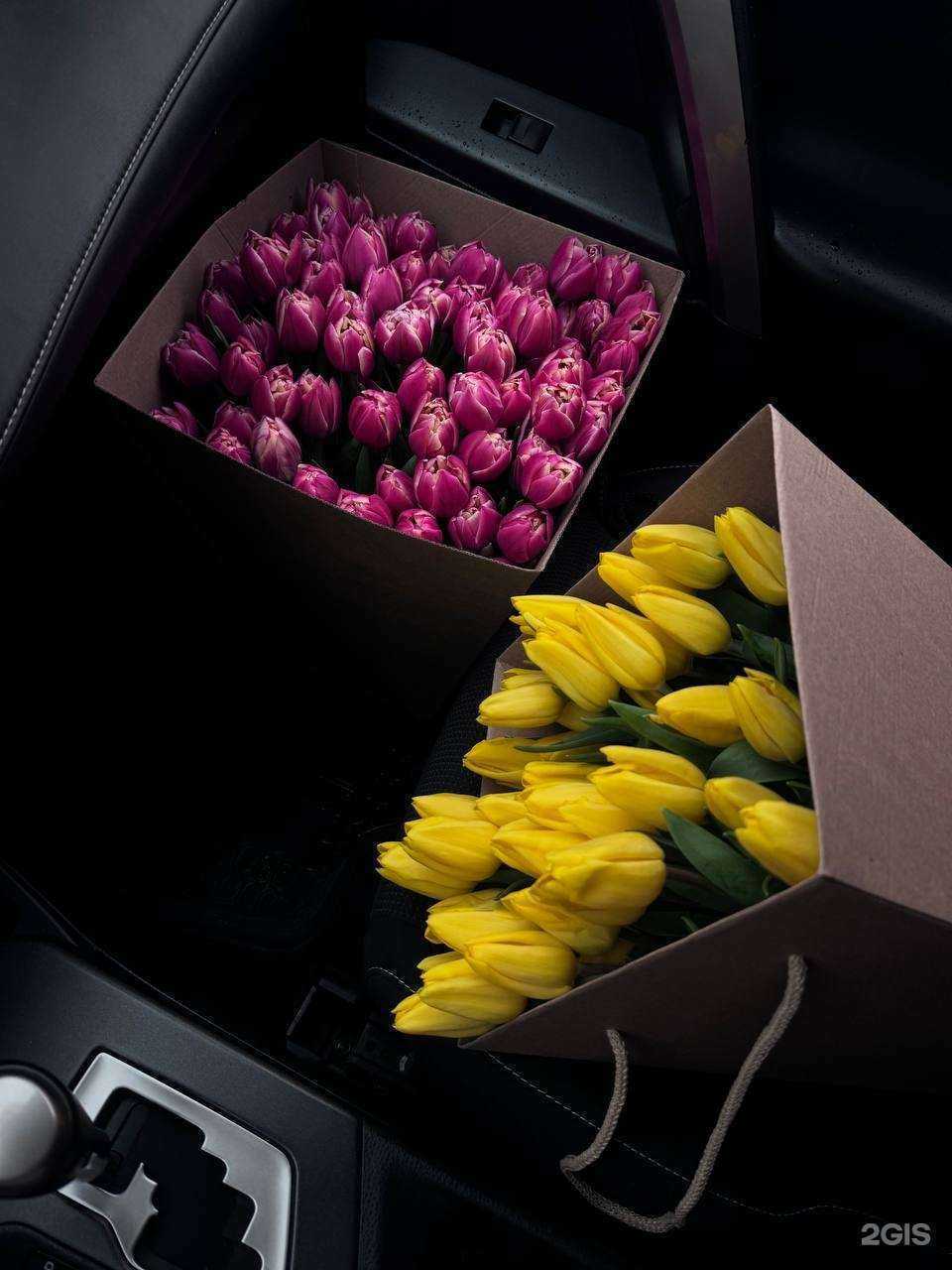 Отзывы на компанию 1 Цветочный в г. Междуреченск c фото