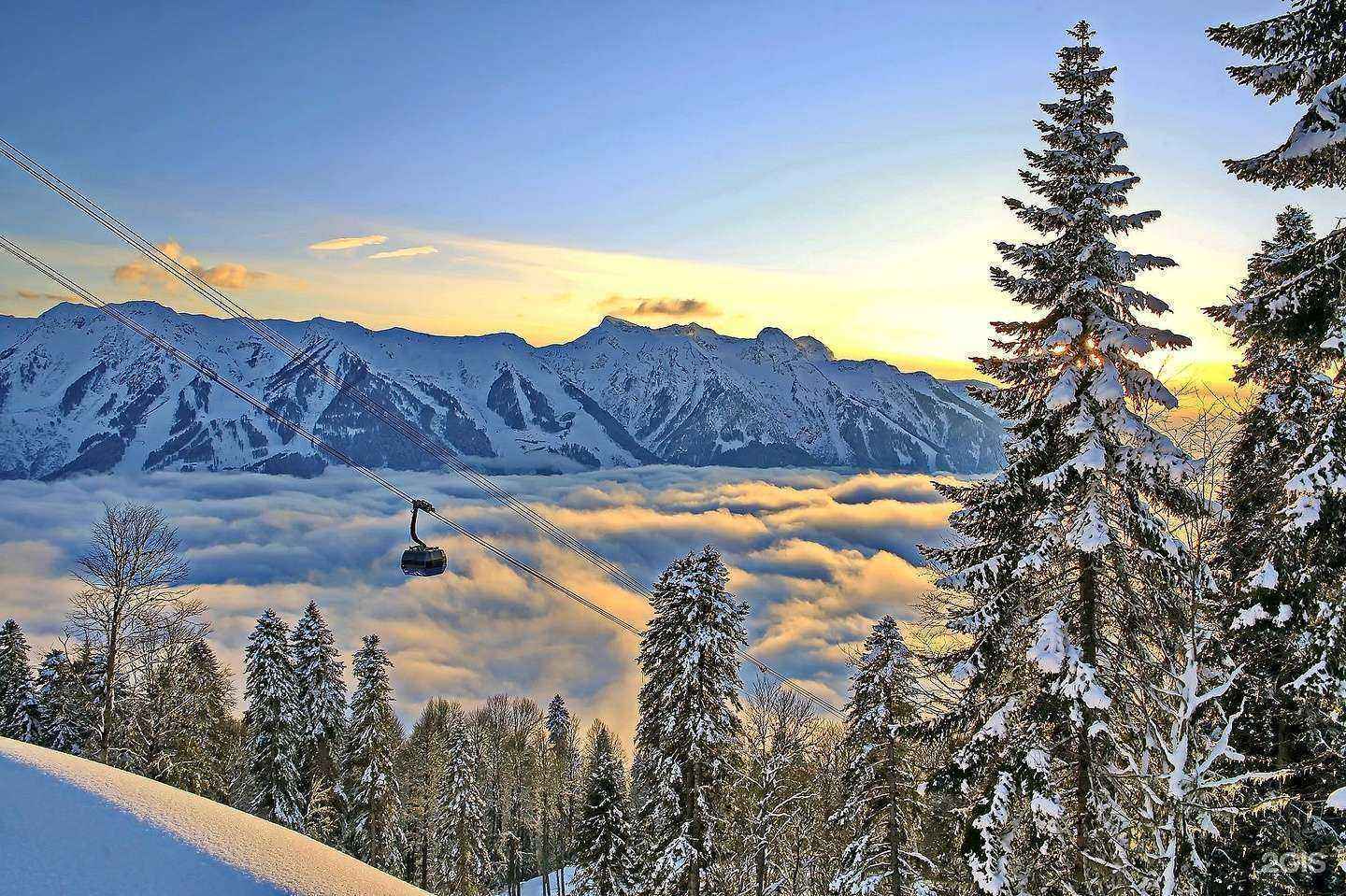 Отзывы на компанию Круглый год в Сочи c фото