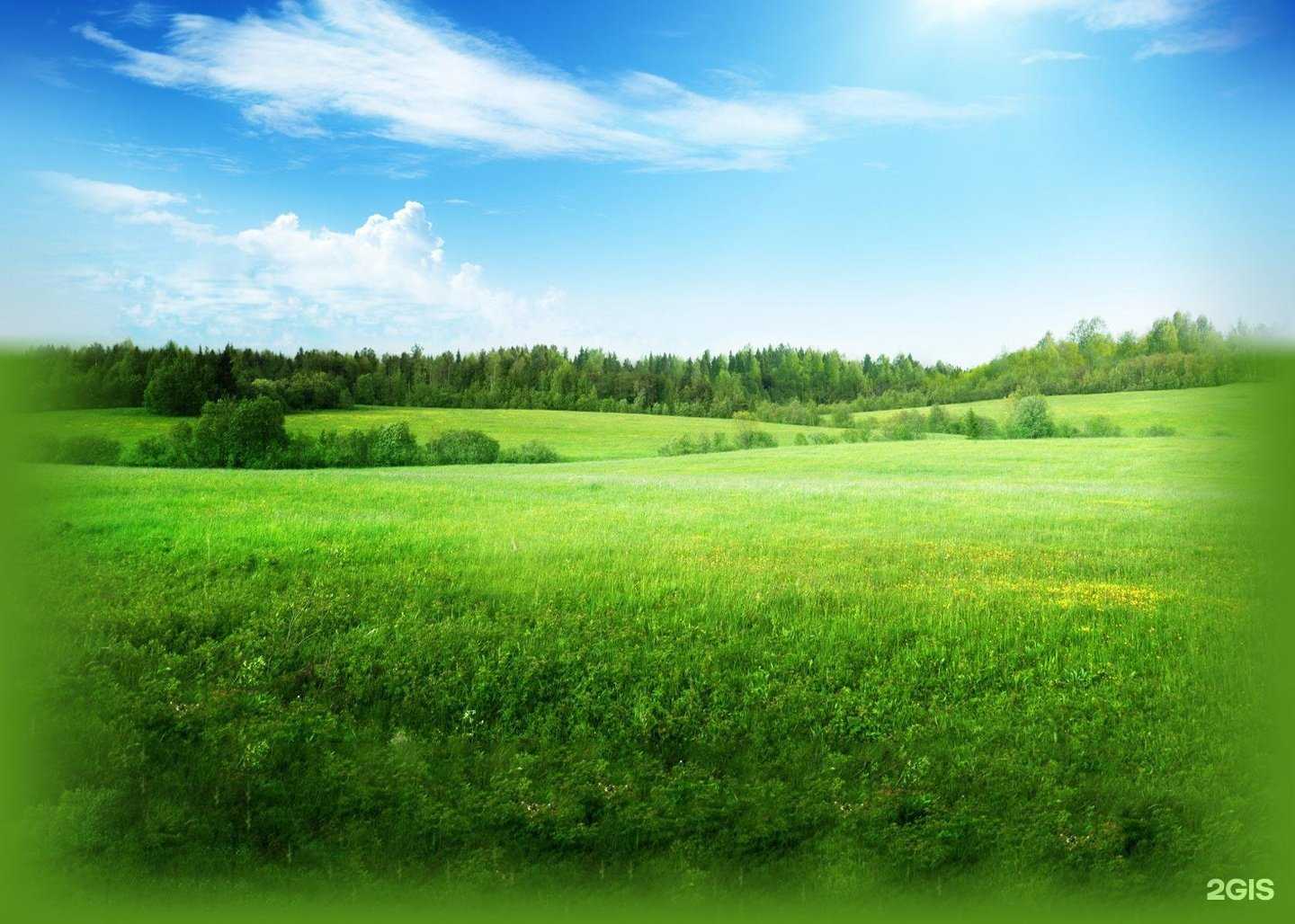 Отзывы на компанию Челябинский завод технологической оснастки им. В.Т. Кушина в Челябинске c фото