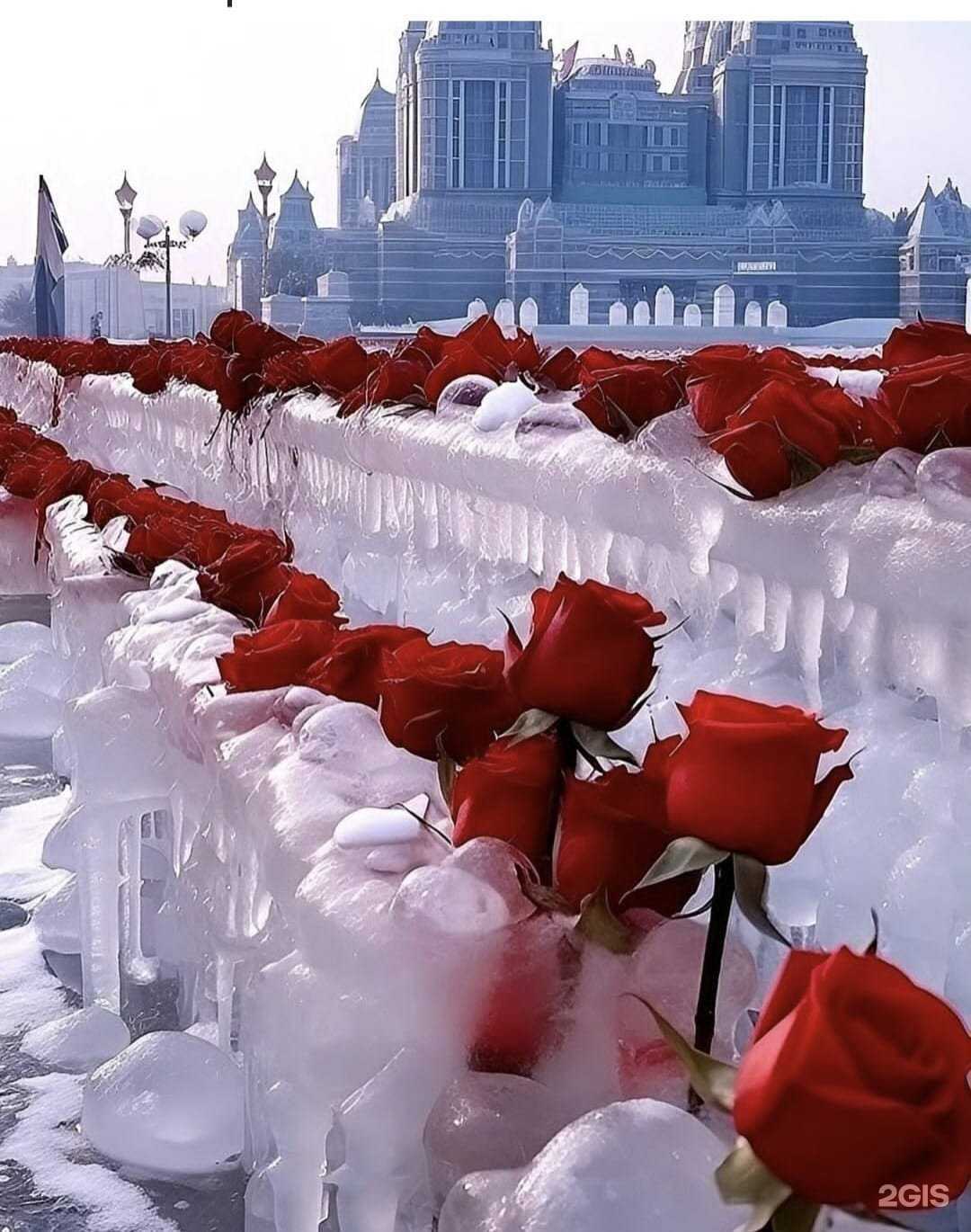 Отзывы на компанию Эльтур в г. Хабаровск c фото