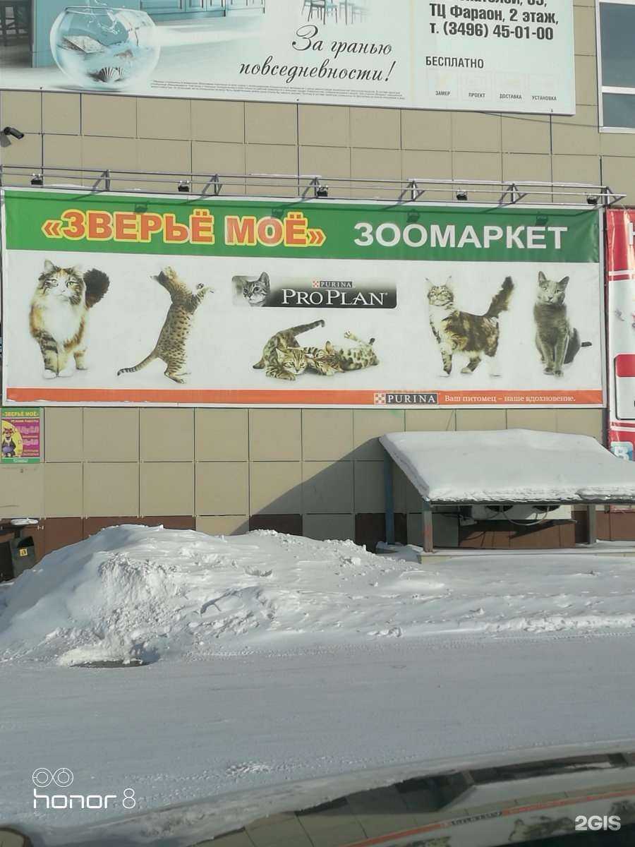 Отзывы на компанию Зверьё Моё в г. Ноябрьск c фото