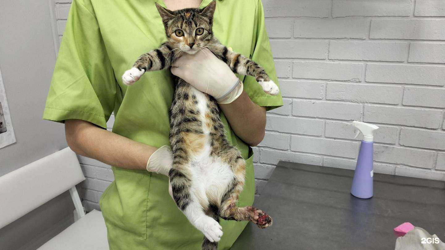 Отзывы на компанию Добрый доктор в Реутове c фото