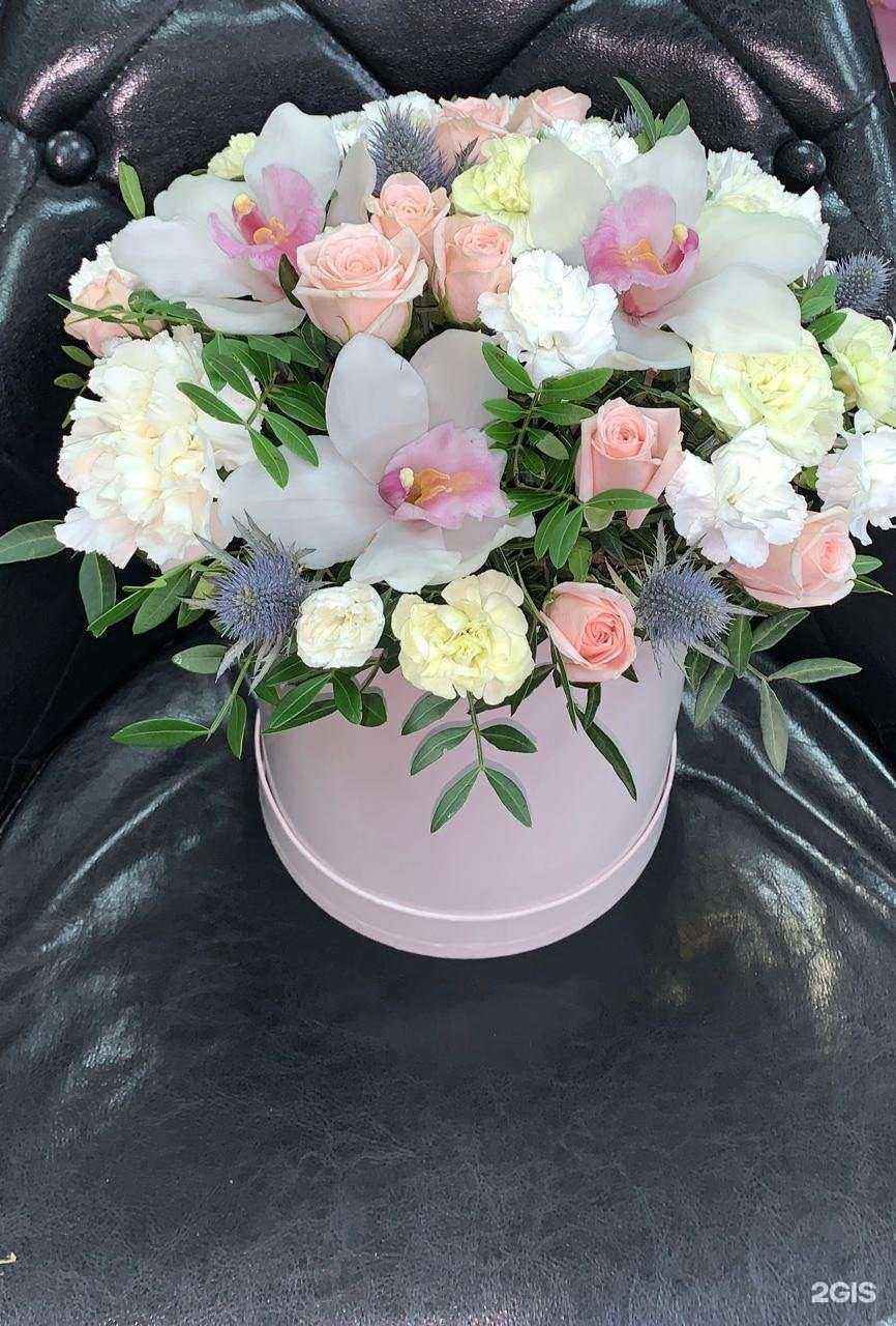 Отзывы на компанию Ecorosa в Новосибирске c фото