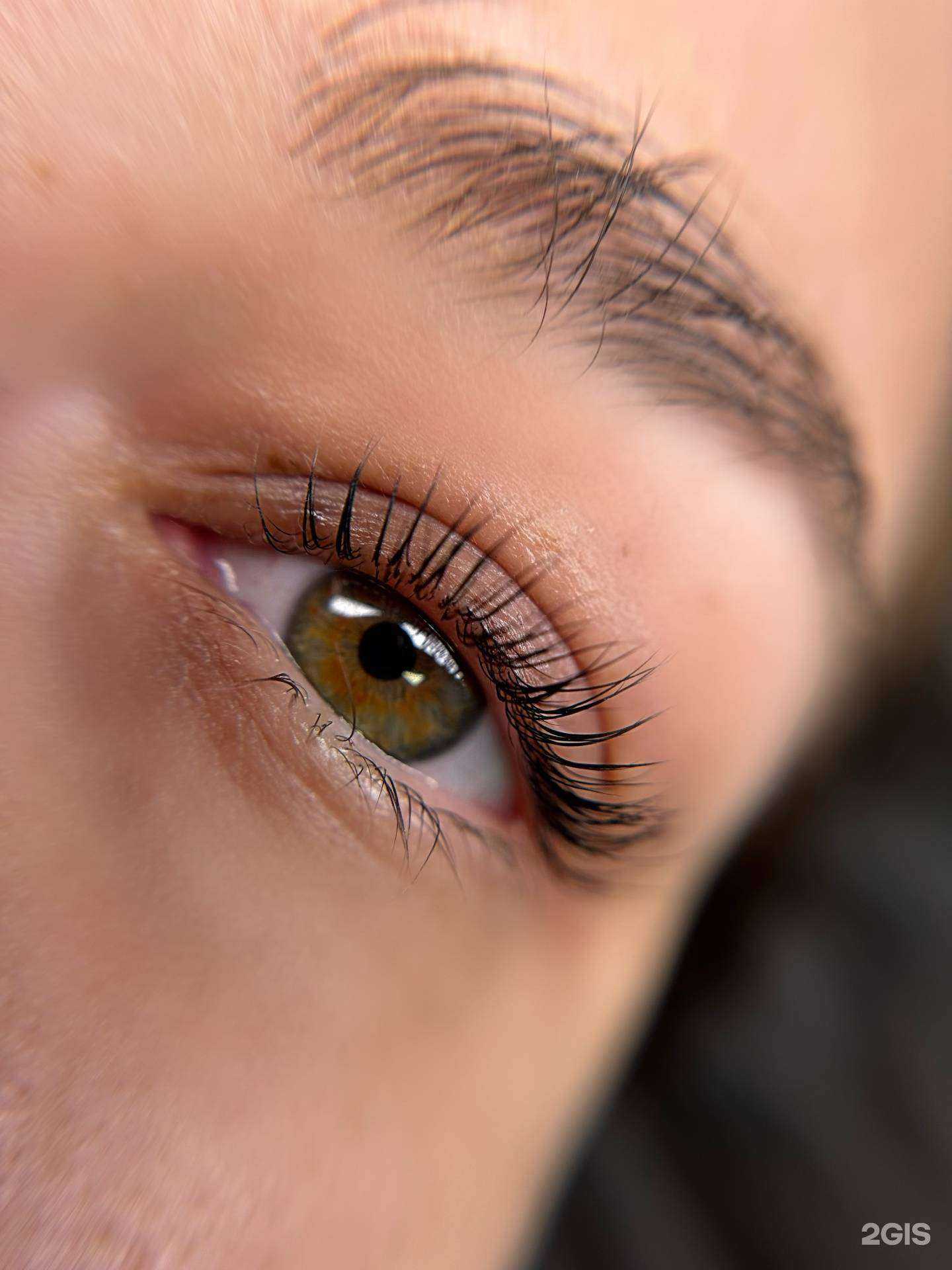 Отзывы на компанию Ask в Белгороде c фото