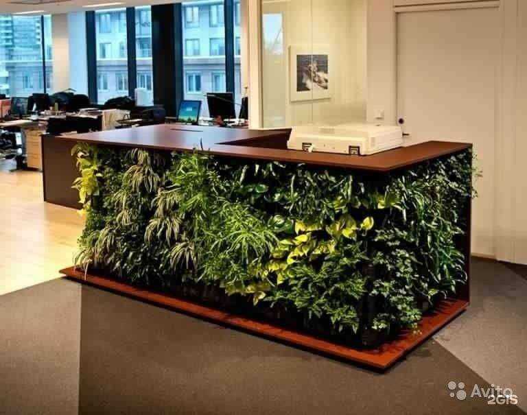 Отзывы на компанию Фабрика вертикального озеленения в Саратове c фото