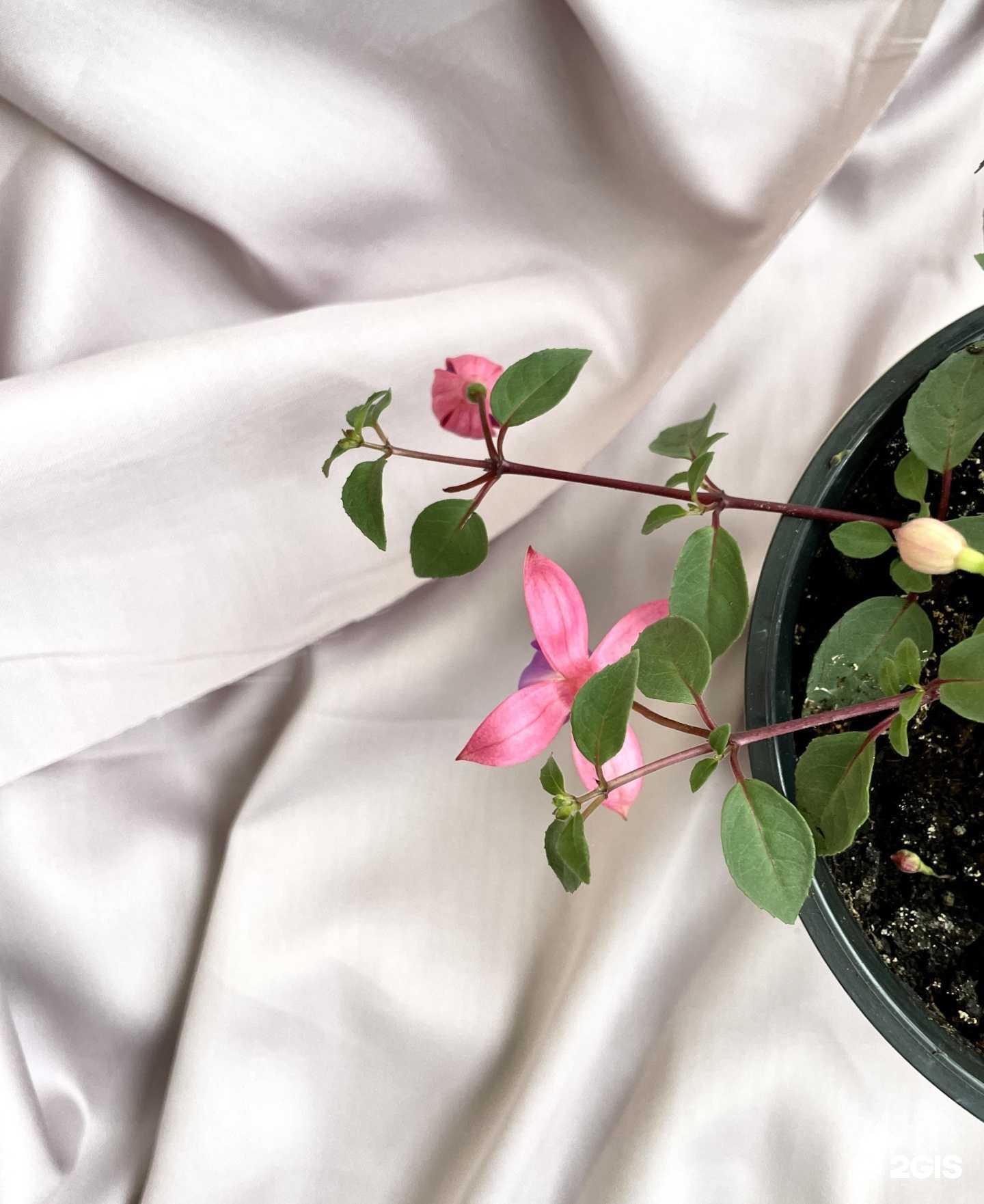 Отзывы на компанию Ателье по пошиву и ремонту одежды в Оренбурге c фото