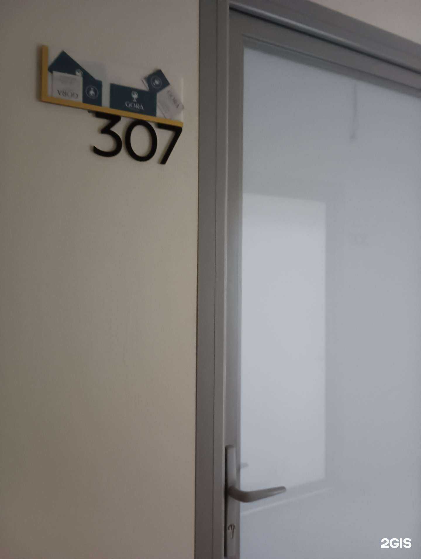 Отзывы на компанию Gora в Казани c фото