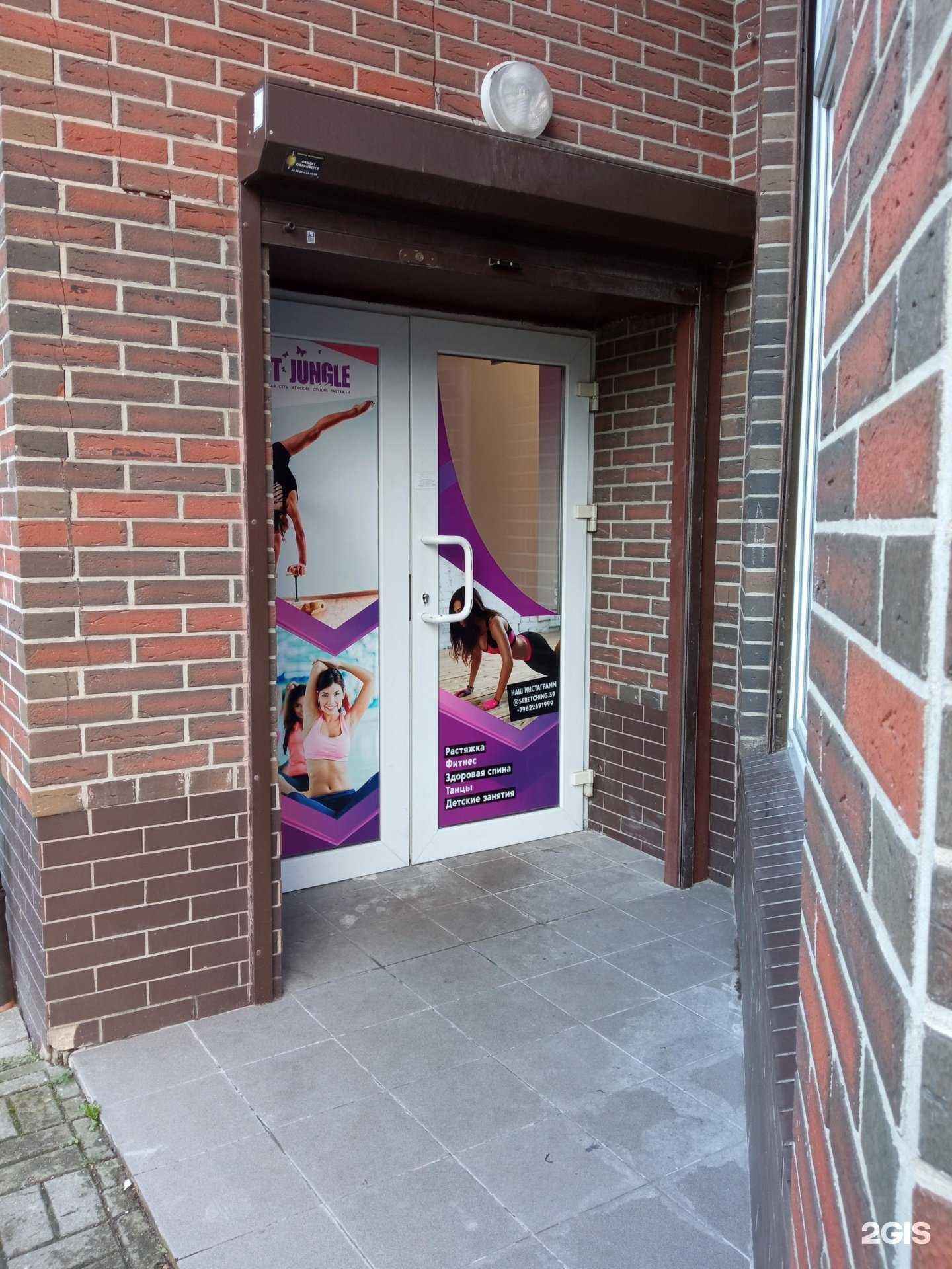 Отзывы на компанию Art Jungle в Калининграде c фото - фотография 2 из 2