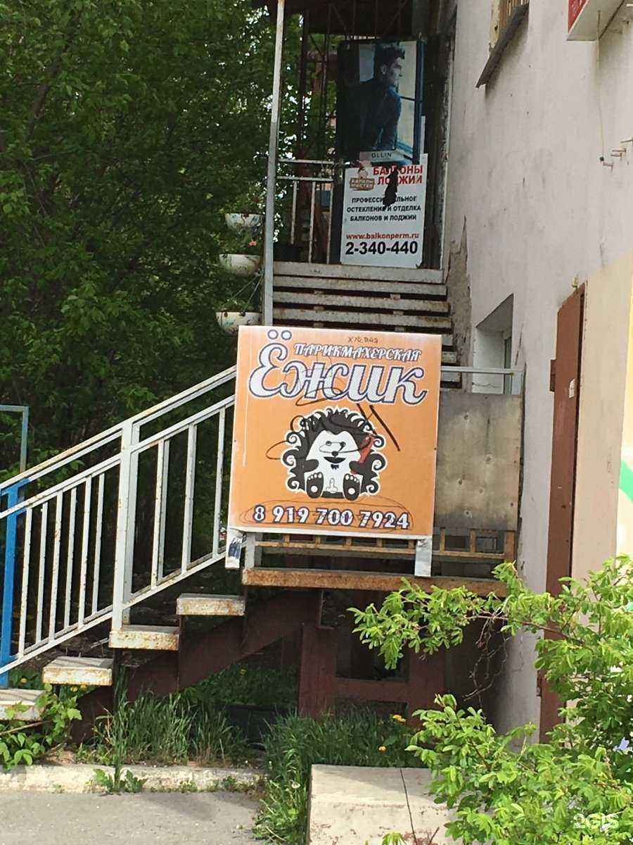 Отзывы на компанию Ёжик в г. Пермь c фото