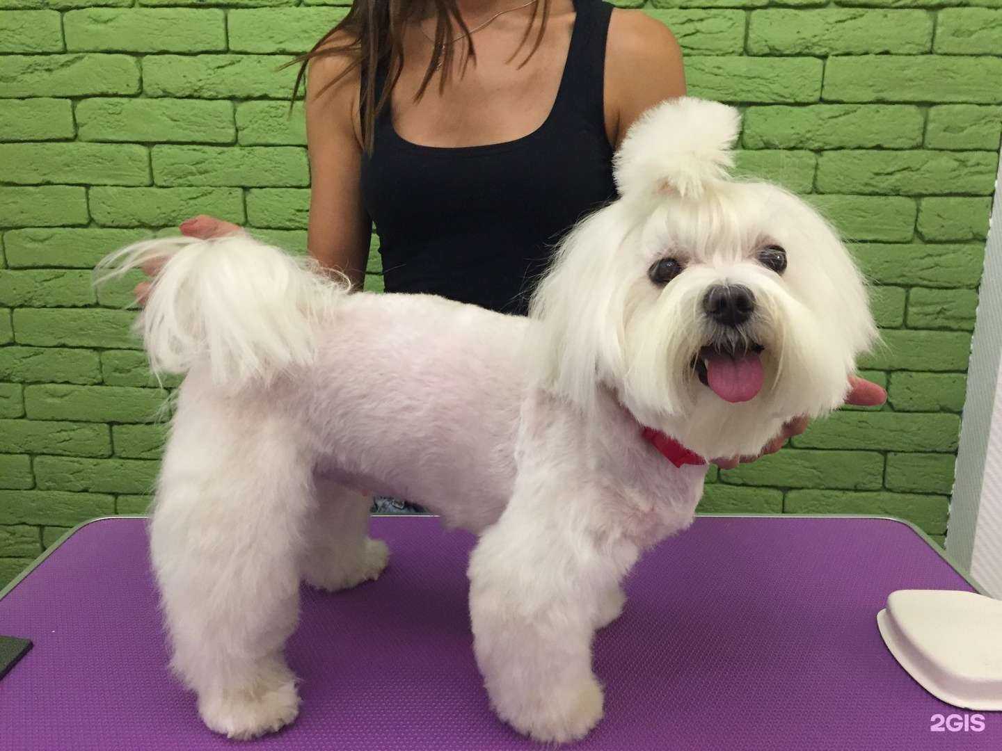 Отзывы на компанию Будка в Улан-Удэ c фото