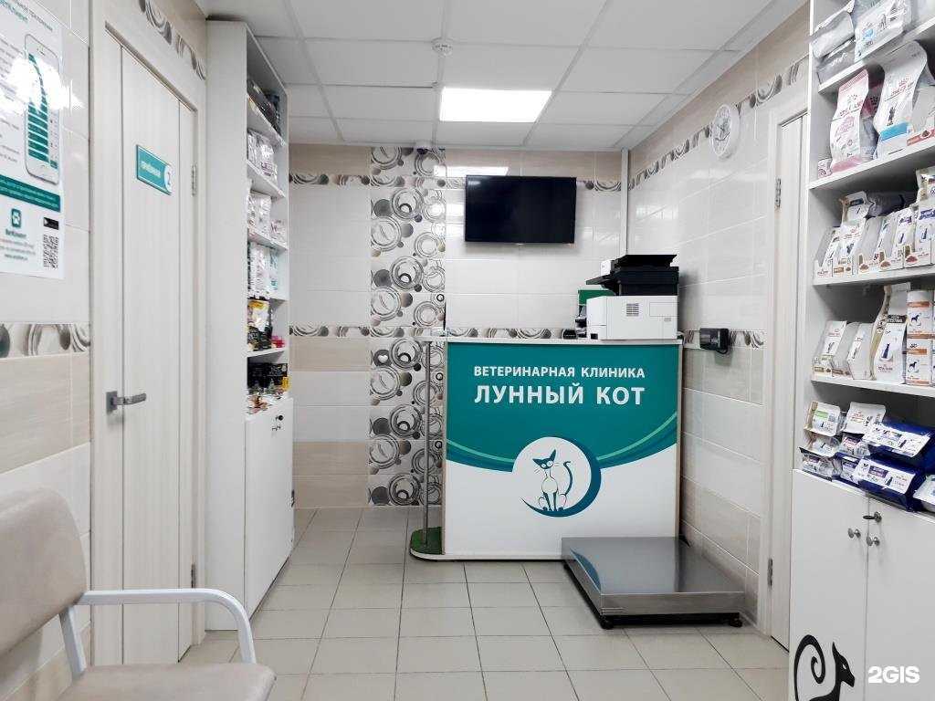 Отзывы на компанию Лунный кот в Перми c фото