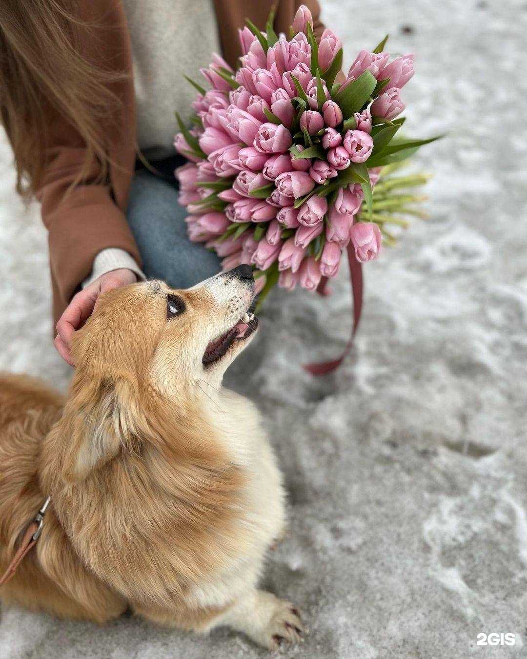 Отзывы на компанию Вместо слов в Солнечногорске c фото