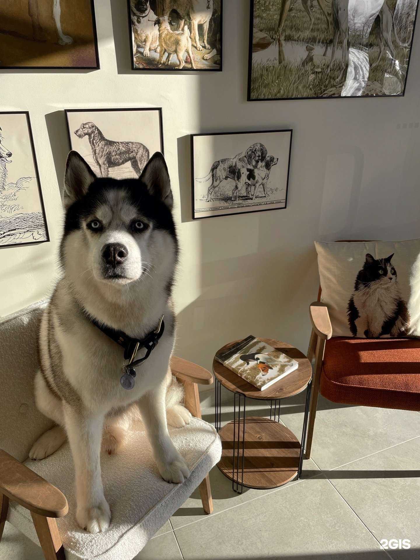 Отзывы на компанию Lodo в Петрозаводске c фото