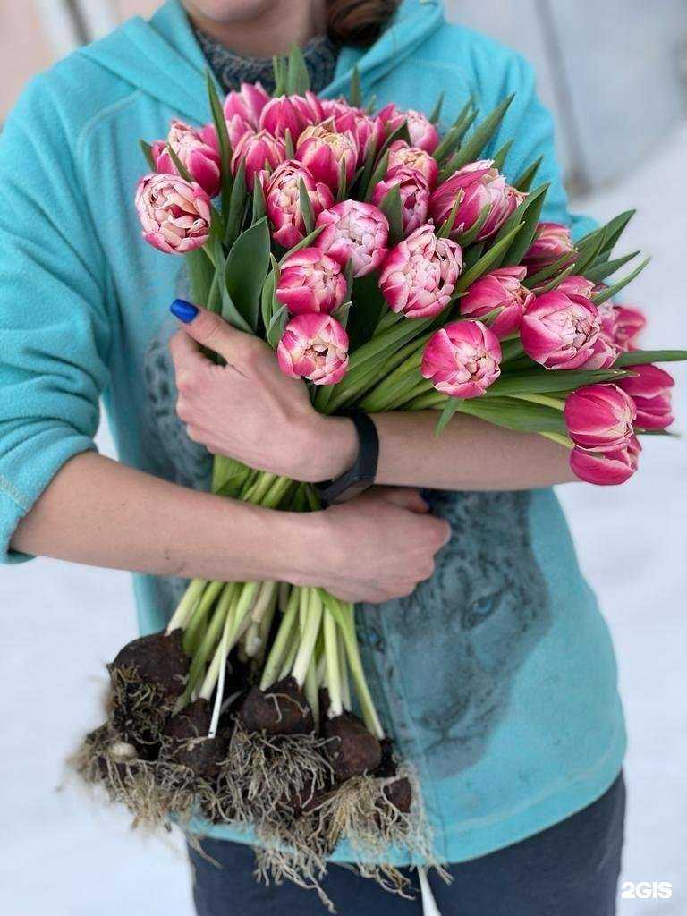 Отзывы на компанию Оазис в Омске c фото