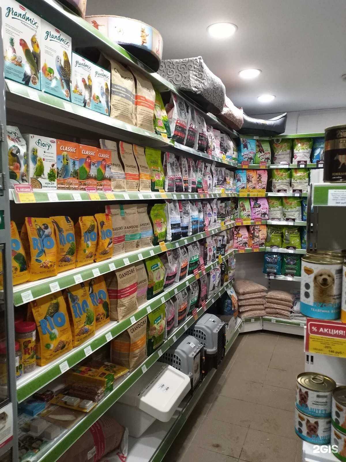 Отзывы на компанию Зоо43 в г. Киров c фото