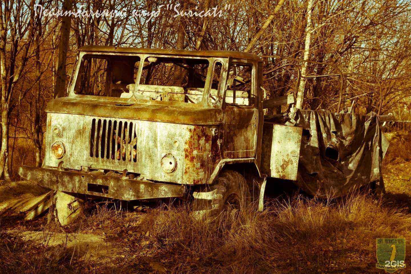 Отзывы на компанию Suricats в Подольске c фото