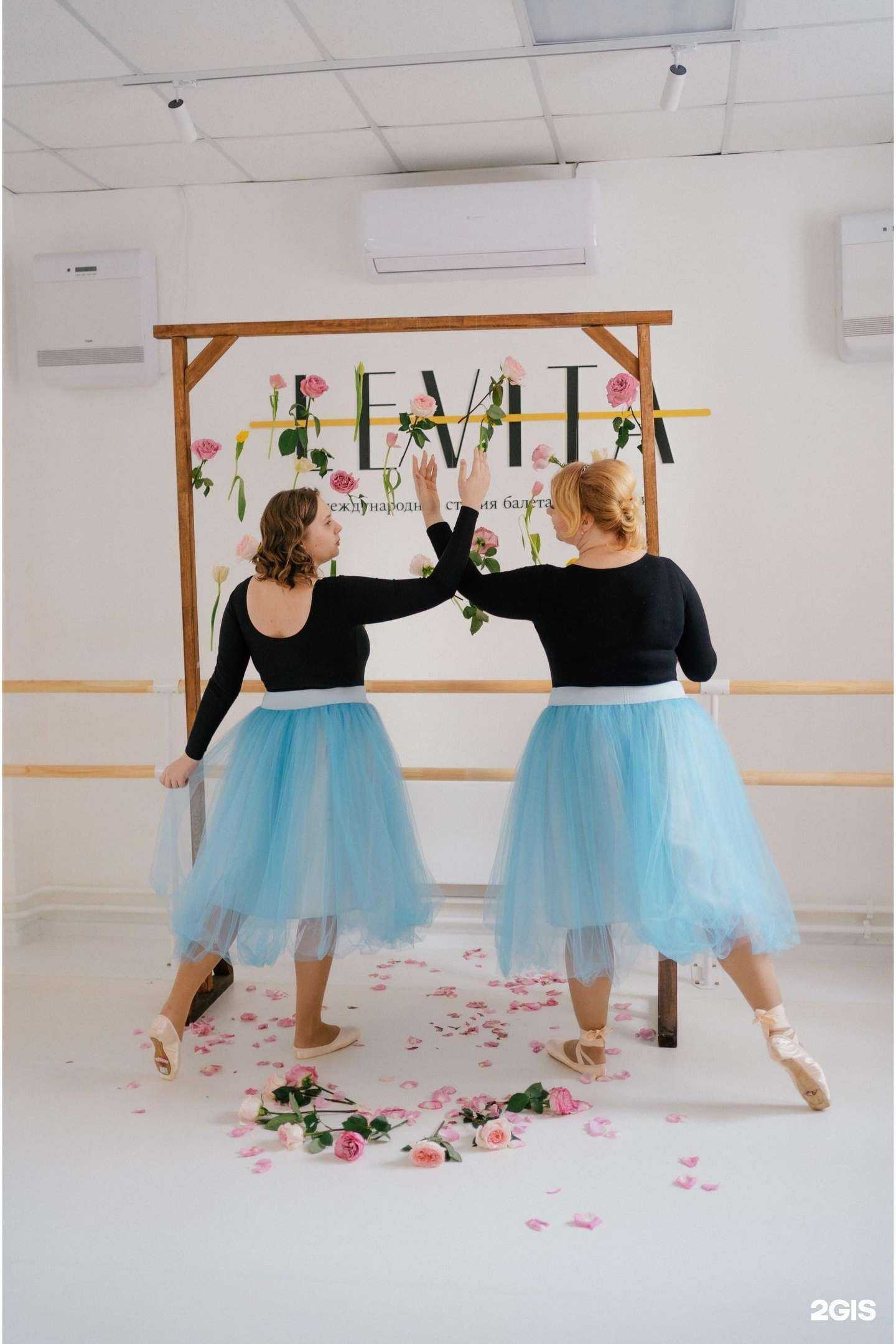 Отзывы на компанию Levita в Красноярске c фото