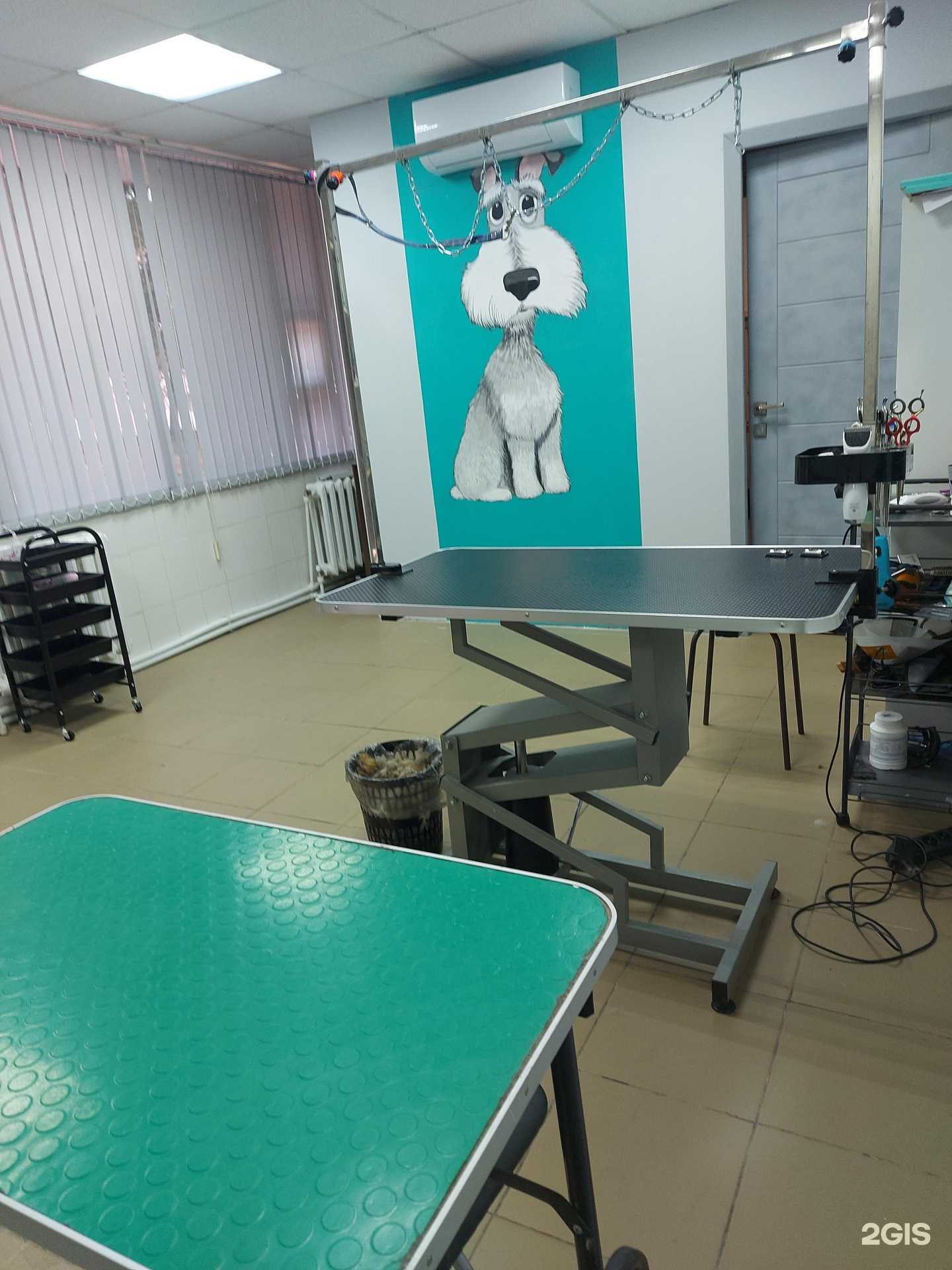 Отзывы на компанию Лапкомания в г. Уфа c фото