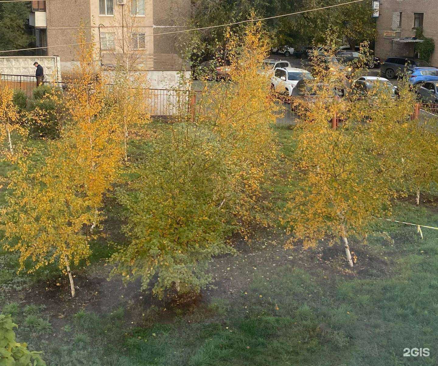 Отзывы на компанию Рекорд в Орске c фото