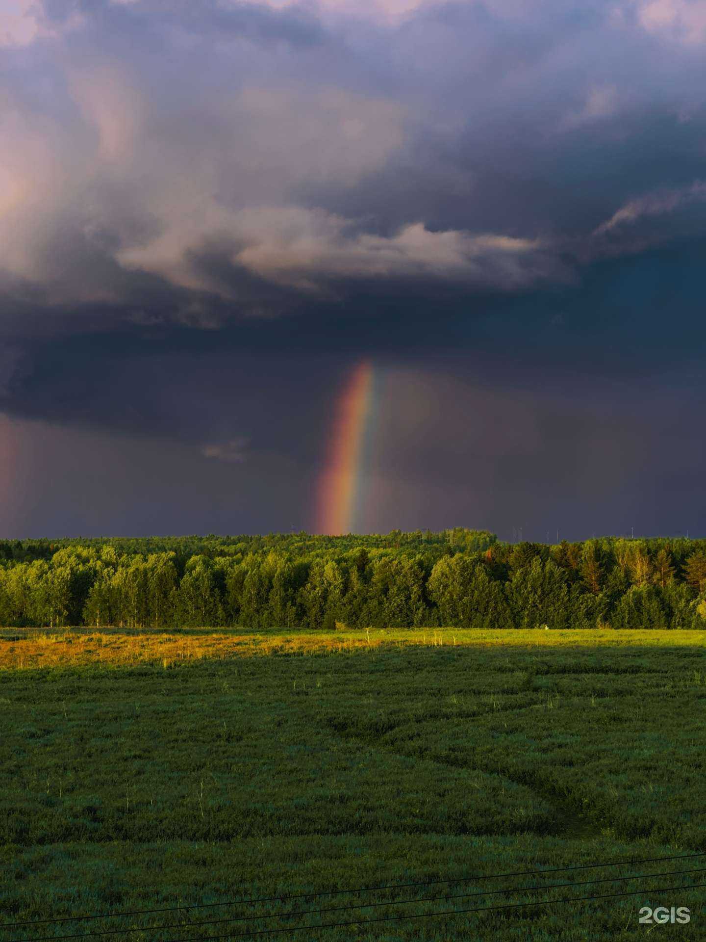 Отзывы на компанию Выпускнику-Пермь.ру в Перми c фото - фотография 2 из 2