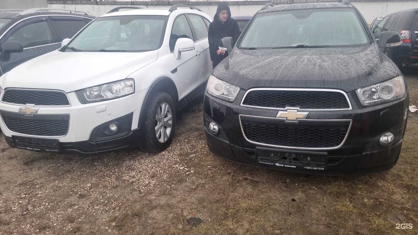 Отзывы на компанию Spyne в Нижнем Новгороде c фото - фотография 2 из 2