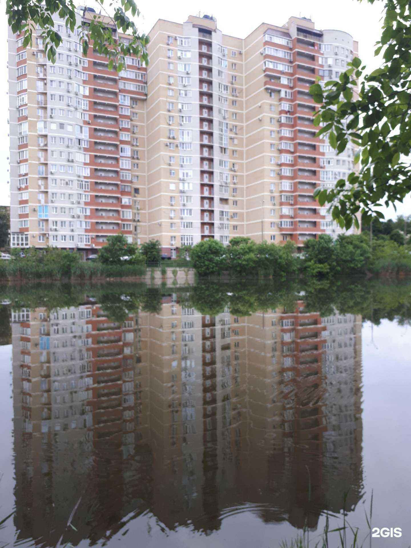 Отзывы на компанию Cherdakschool  в Краснодаре c фото - фотография 2 из 2