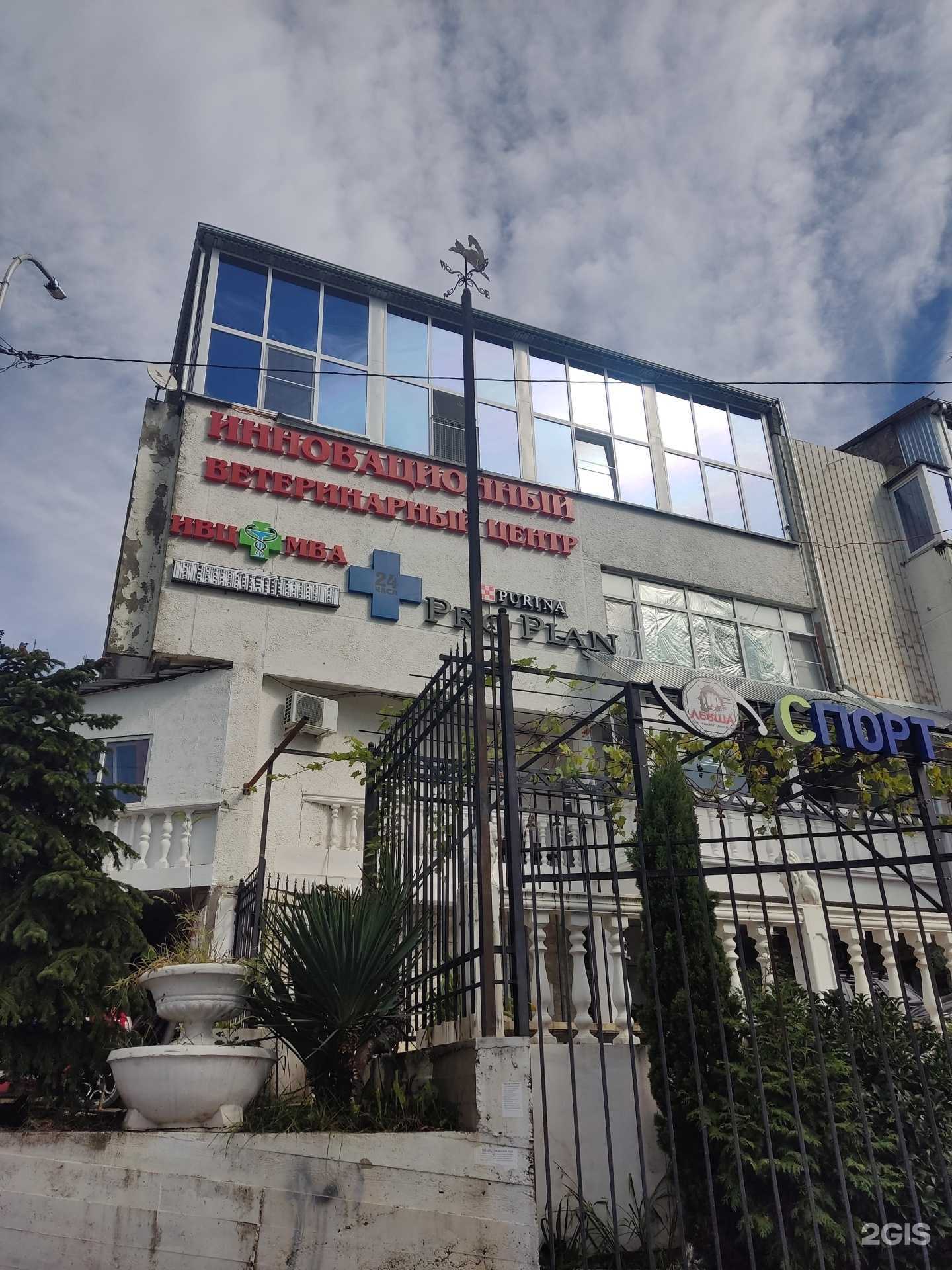 Отзывы на компанию Южная Федерация Киокусинкай каратэ в Сочи c фото - фотография 2 из 2