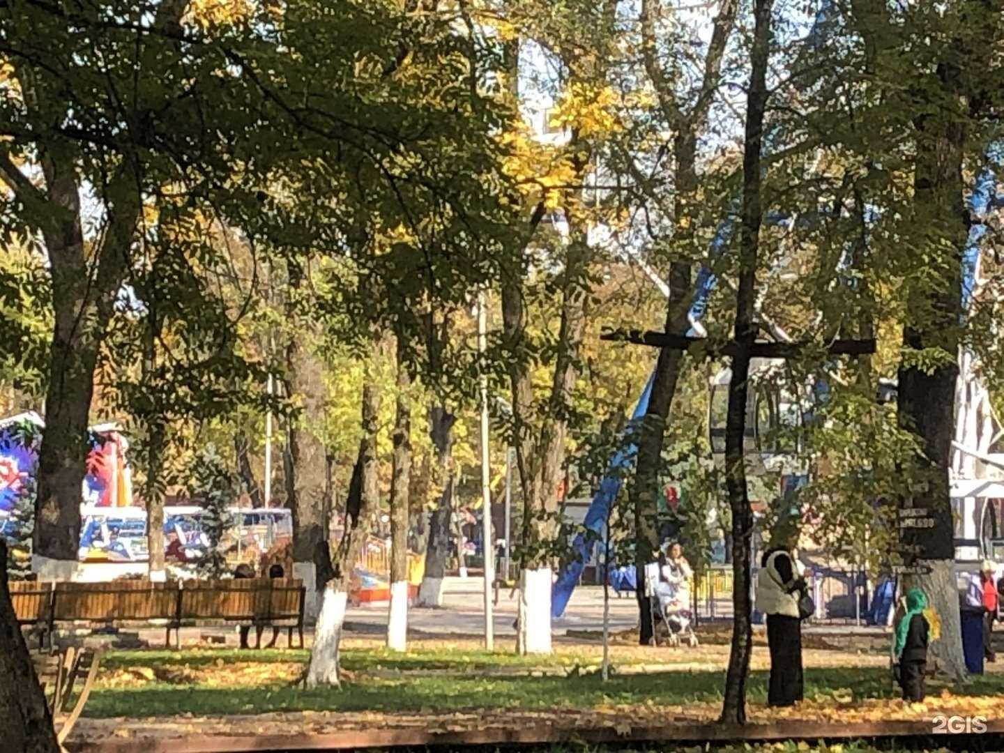 Отзывы на компанию Loft park в Нальчике c фото - фотография 2 из 2