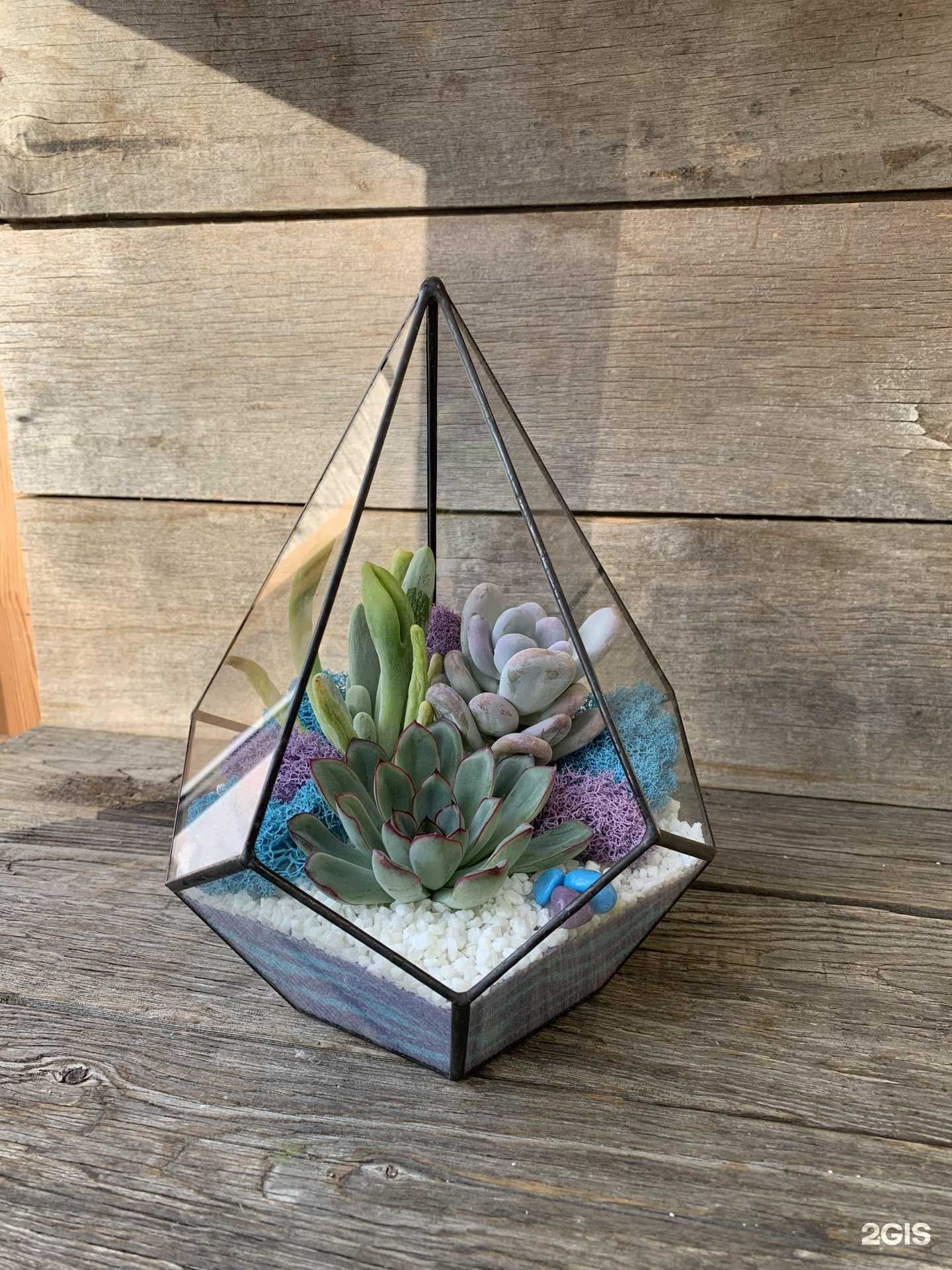 Отзывы на компанию Green home в г. Нижний Тагил c фото