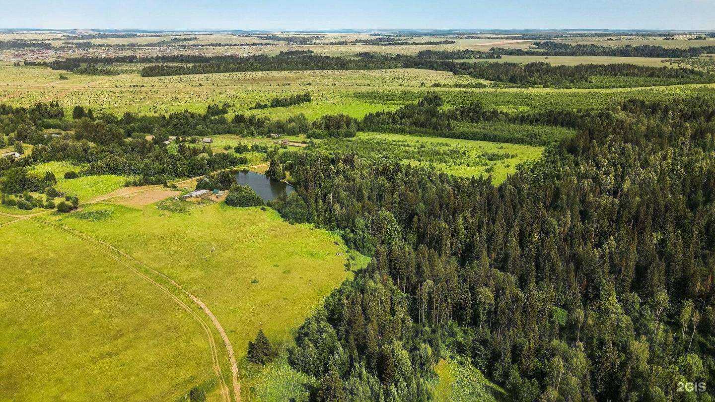 Отзывы на компанию Гравис в г. Ижевск c фото