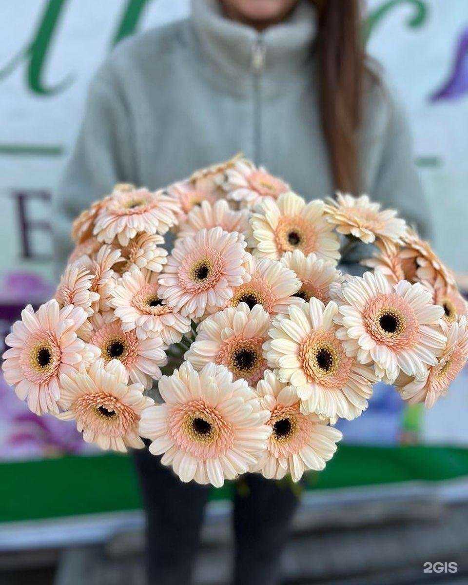 Отзывы на компанию Розали в Владивостоке c фото