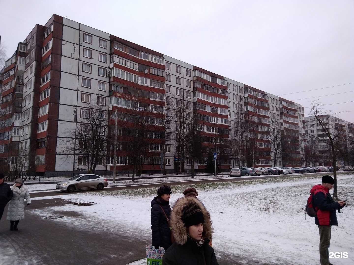 Отзывы на компанию Малёк в Великом Новгороде c фото - фотография 2 из 2